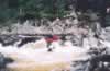Stuck on thr rocks